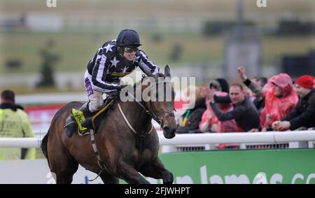 RACING CHELTENHAM FESTIVAL 2010 4TH TAG 19/3/10. DER GOLD-CUP-SIEGER PADDY BRENNAN AUF IMPERIAL COMMANDER NACH DEM LETZTEN. BILD DAVID ASHDOWN Stockfoto