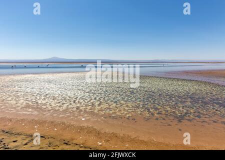 Wunderschöne Landschaft der Lagune von Chaxa mit Spiegelung der Umgebung und blauem Himmel im Salar von Atacama, Chile Stockfoto