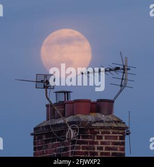 Wimbledon, London, Großbritannien. 26. April 2021. Der Pink Supermoon steigt am wolkenlosen Himmel hinter Dachhimmel-Antennen im Südwesten Londons auf und erreicht in den frühen Morgenstunden des 27. April eine Vollmondbeleuchtung von 100 %. Quelle: Malcolm Park/Alamy Live News. Stockfoto