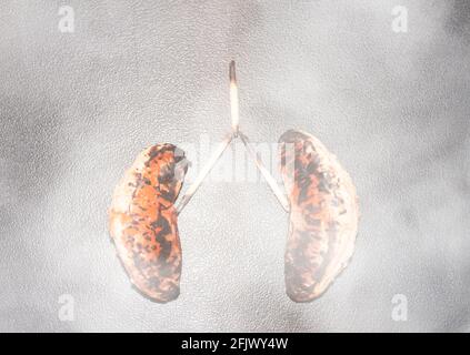 Teile einer orangen bildenden Lunge, mit giftigem Rauch, Konzept des Rauchens Problem. Stockfoto