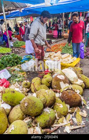 NUWARA ELIYA, SRI LANKA - 17. JULI 2016: Jackfruit-Verkäufer auf dem Markt in Nuwara Eliya. Stockfoto