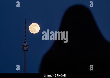 Stuttgart, Deutschland. April 2021. Eine Frau beobachtet, wie der Vollmond hinter dem Stuttgarter Fernsehturm aufsteigt. Am 27. April 2021 wird es einen sogenannten "Supermond" geben. Dann ist der Abstand zwischen Mond und Erde kleiner als üblich. Quelle: Marijan Murat/dpa/Alamy Live News Stockfoto