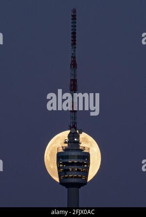 Stuttgart, Deutschland. April 2021. Der Vollmond steigt hinter dem Stuttgarter Fernsehturm auf. Am 27. April 2021 wird es einen sogenannten "Supermond" geben. Dann ist der Abstand zwischen Mond und Erde kleiner als üblich. Quelle: Marijan Murat/dpa/Alamy Live News Stockfoto