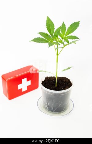 Alternative Medizin, Symbolik, Konzept, Cannabispflanze und erste-Hilfe-Kasten Stockfoto