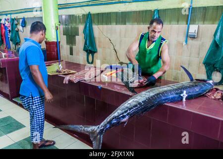 MALE, MALEDIVEN - 11. JULI 2016: Schwertfisch zum Verkauf auf dem Fischmarkt in Male. Stockfoto