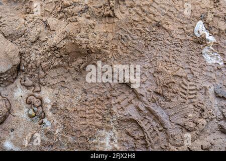Hintergrundspuren von Reifen auf Asphalt im Gelände. Fußspuren auf dem schlammigen Gebiet der Natur. Stockfoto
