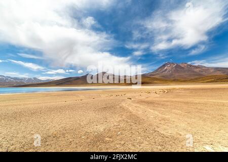 Miscanti Lagune auf dem altiplano in der Atacama Wüste in der Antofagasta Region im Norden Chiles, Südamerika Stockfoto