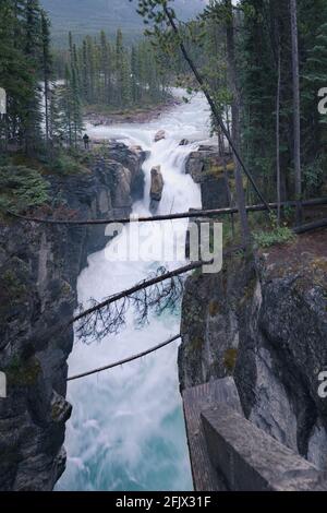 Vertikale Aufnahme der Sunwapta Falls im Jasper National Park an einem dunklen und bewölkten Tag. Raues Wetter in den kanadischen Rockies. Athabasca-Flusskaskade. Stockfoto