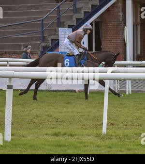 Ein Tag auf der Rennbahn Ludlow Racecourse in Shropshire Stockfoto