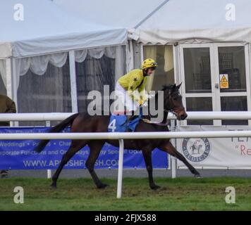 Ein Tag auf der Rennbahn Ludlow Racecourse in Shropshire Stockfoto