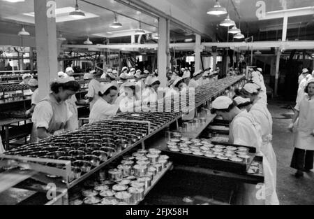 Verpackung von Thunfisch in Dosen, Columbia River Packing Association, Astoria, Oregon, 1941 Stockfoto