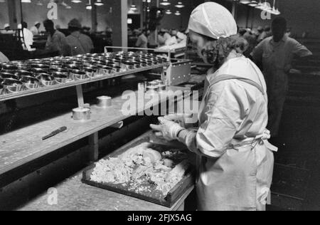 Verpacken von Thunfisch in Dosen, Columbia River Packing Association, Astoria, Oregon, September 1941 Stockfoto