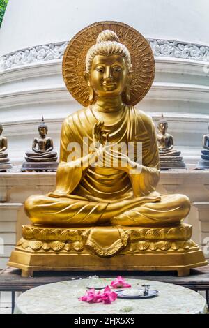 Buddha-Statue im Gangaramaya Buddhistischen Tempel in Colombo, Sri Lanka Stockfoto