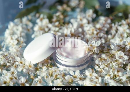 Kosmetische Creme-Glas auf dem Hintergrund der weißen kleinen Frühlingsblumen von Byttneria. Natürliche Bio-Kosmetik-Konzept. Stockfoto