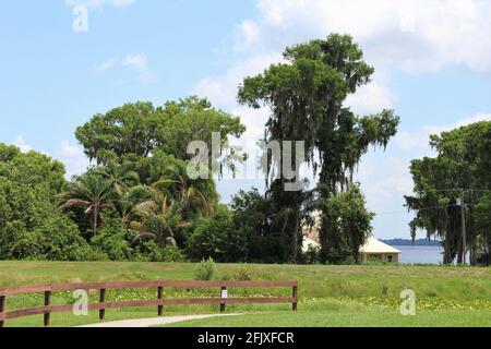 Öffentlicher Parkbereich in Lake Placid, Florida. Schöne Landschaft mit einem Haus im Hintergrund mit Blick auf den See Istokpoga. Stockfoto