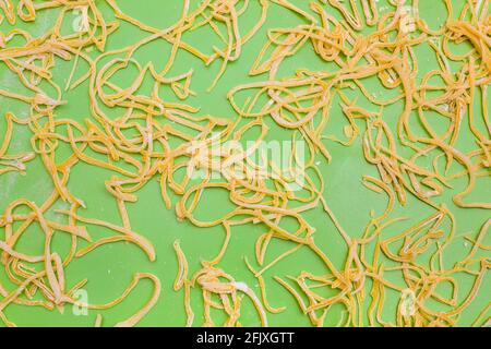 Selbst gemachte Nudeln auf einer grünen Arbeitsplatte herstellen Teigstücke, die während des Trocknungsprozesses von glutenfreien Weizenpasta in Streifen geschnitten wurden, niemand Stockfoto