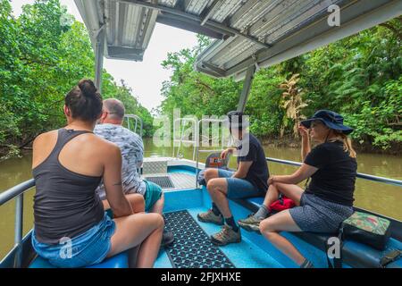 Touristen, die auf einem Boot auf einer Krokodil- und Wildtierbeobachtungstour sitzen, Daintree River, Daintree National Park, Far North Queensland, FNQ, QLD, Australi Stockfoto