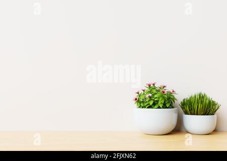 Moderne leere Zimmer mit Pflanzen auf dem Boden Holz, weiße Wand, 3d-Rendering Stockfoto