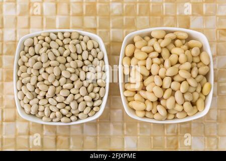 Eingeweichte und getrocknete weiße Erbsenbohnen, Navy Bohne, Pearl Haricot, Boston Bohne in weißer Schale auf gelbem Keramikhintergrund, Draufsicht (Phaseolus vulgaris) Stockfoto