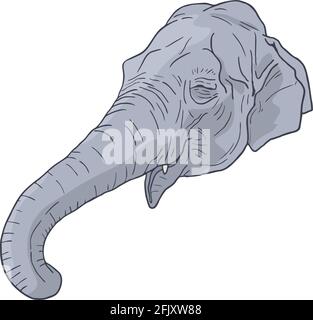 Elefant-Gesicht Stock Vektor
