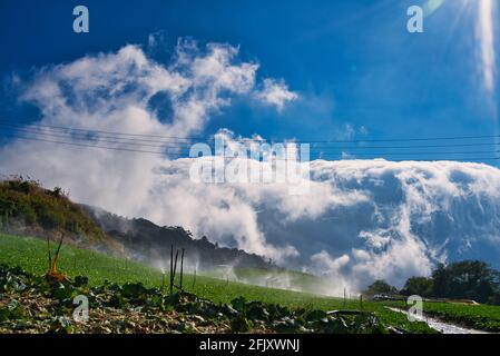 Die weißen Wolken ähneln dem atemberaubenden Blick auf die Meereswellen. Sonnenschein blauer Himmel. Verschiedene Pflanzenarten und Naturlandschaften. Wuling Farm im Winter, T Stockfoto