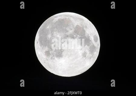 27. April 2021. London, Großbritannien. Foto von Ray Tang. Der erste Pink Supermoon erscheint am frühen Morgen am Himmel. Ein Supermond tritt auf, wenn der Vollmond zur gleichen Zeit wie der Mond in seiner Nähe ist. Dadurch erscheint er bis zu 14 Prozent größer und 30 Prozent heller als ein Vollmond am Apogee Stockfoto