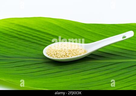 Nahaufnahme Sesamsamen in weißem Keramiklöffel auf grün Blatthintergrund Stockfoto