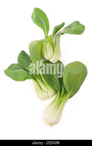 Schöne Bok Choy chinakohl oder Qing Geng cai isoliert auf weiß mit natürlichen Schatten. Stockfoto