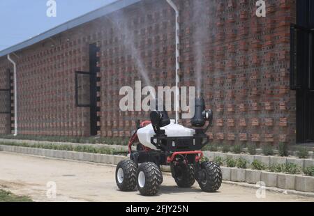 Jiaxing, China. April 2021. Die Blockchain- und 5G-Technologien werden am 26. April 2021 in der Schweineindustrie in Jiaxing, Zhejiang, China, eingesetzt.(Foto: TPG/cnsphotos) Quelle: TopPhoto/Alamy Live News Stockfoto