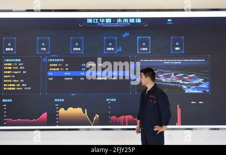 Jiaxing, China. April 2021. Die Blockchain- und 5G-Technologien werden am 26. April 2021 in der Schweineindustrie in Jiaxing, Zhejiang, China, eingesetzt.(Foto: TPG/cnsphotos) Quelle: TopPhoto/Alamy Live News Stockfoto