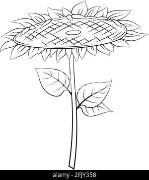 Sonnenblume mit Blättern Stock Vektor