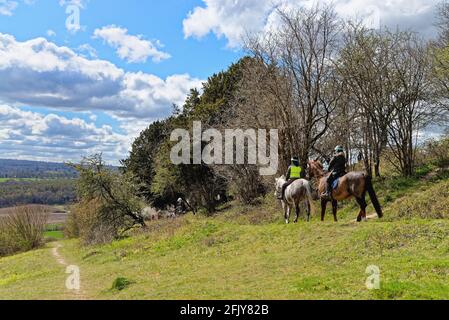 Zwei weibliche Reiter auf einem Reitweg auf White Downs In den Surrey Hills in der Nähe von Dorking Surrey England Stockfoto