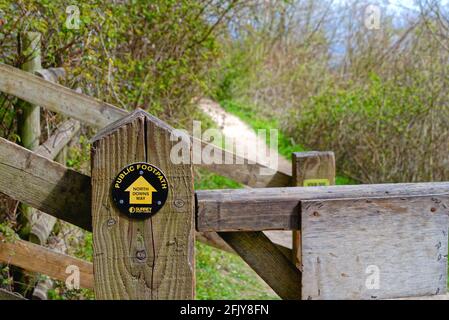 Der North Downs Way Wanderweg auf White Downs in der Surrey Hills in der Nähe von Dorking, an einem sonnigen Frühlingstag in Surrey England, Großbritannien Stockfoto