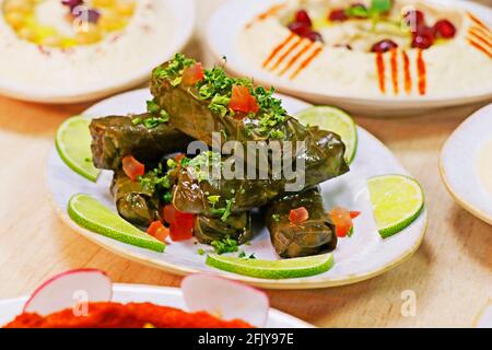 Eine Auswahl libanesischer arabischer Speisen, darunter Hummus, Muhammana, Moutabal, Taboule und Weinblätter Stockfoto