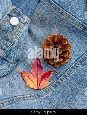 Nahaufnahme eines Blattes mit Herbstfarben und einem Kieferkegel auf einer Jeansjacke Stockfoto