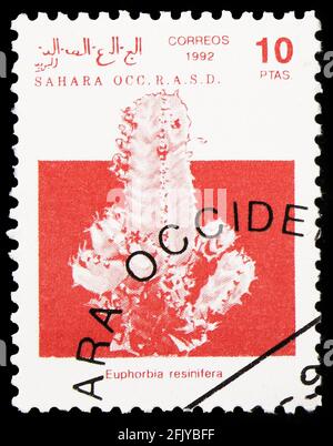 MOSKAU, RUSSLAND - 27. SEPTEMBER 2019: Die in Cinderellas gedruckte Briefmarke zeigt Resin Spurge (Eforbia resinifera), Sahara Bel. serie, um 1992 Stockfoto