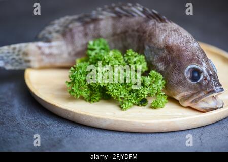 Zackenbarsch auf Holzplatte, frischer roher Fisch für gekochte Speisen Stockfoto