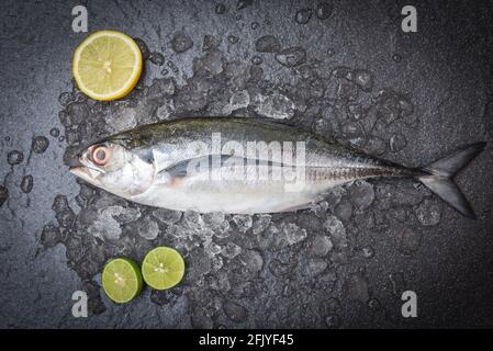 Fisch auf Eis zum Kochen von Speisen im Restaurant, frischer Fisch roher Torpedo-Scad mit Zitrone, Makrele-Scad von oben Stockfoto