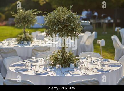 Tisch, Sthle, kleine Olivenbaum Stockfotografie - Alamy