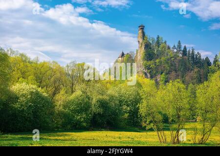 oravsky podzamok, slowakei - 01. MAI 2019: Burgturm auf dem Felsen. Schöne sonnige Landschaft im Frühling. Bäume in grünem Laub auf der Wiese ben Stockfoto