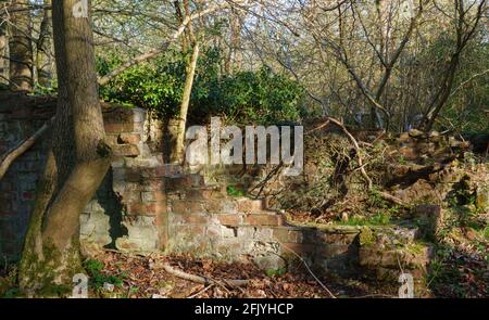 Verfallendes und bröckelndes Ziegelgebäude tief in den Wäldern Salisbury Plain Wiltshire Stockfoto