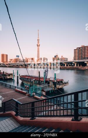 Tokio, Japan - 12. Dezember 2015: Tokyo Skytree und Sumida River, Tokio, Japan. Tokyo Skytree ist mit 634 m der höchste freistehende Sendeturm Stockfoto