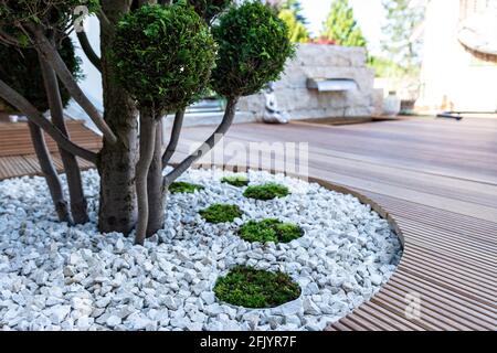 Moos als Zierelement in der Landschaftsgestaltung und Gartengestaltung Stockfoto