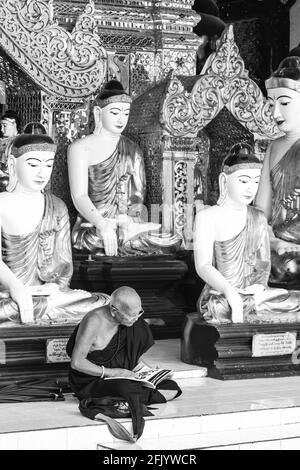 Ein buddhistischer Mönch an der Shwedagon Pagode, Yangon, Myanmar. Stockfoto