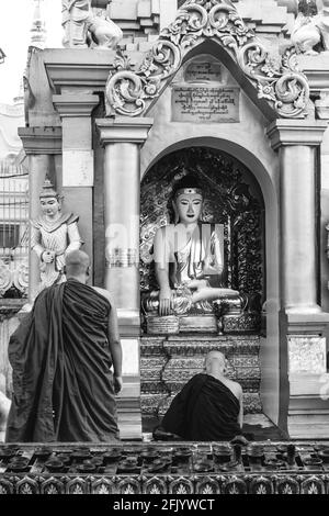 Buddhistische Mönche Beten In Der Shwedagon Pagode, Yangon, Myanmar. Stockfoto