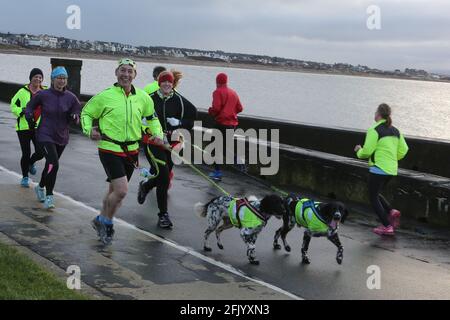 Troon 5k Park Laufen Sie entlang der Küste von Troon, Ayrshire, Schottland, Großbritannien Hunde Toby & Kerran helfen Zander Beggs und Alison Reid dabei Stockfoto