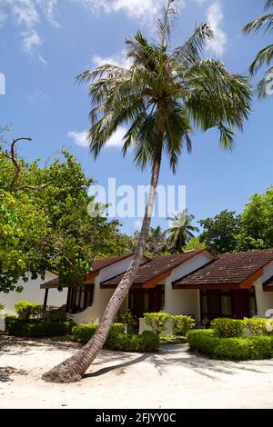 Ferienhäuser auf Bandos Island auf den Malediven. Die Malediven sind ein beliebtes tropisches Urlaubsziel im Indischen Ozean. Stockfoto
