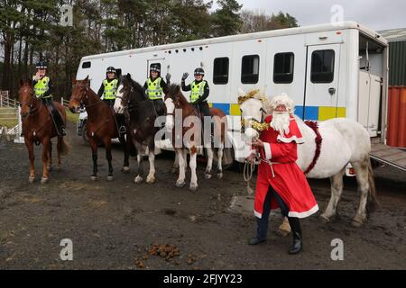 Ayrshire Equitation Center Reiten für Behinderte. Kinder aus verschiedenen Schulen um Ayrshire kamen, um Santa zu treffen, sammelten ihre Rosetten und die Möglichkeit, Pferde von Police Scotland zu treffen Santa traf auf Echo bei Meet Police Scotland Horses Orcadia ein. Cathcart, Lewis & Cupar reiden von den Polizeiämtern Claire Hunter, Elaine Curran, Vicky Graham & Kirsteen Watson Stockfoto