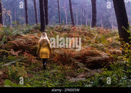 Blonde Frau in gelber Jacke, die durch eine Waldlichtung geht Mit Farn überwuchert Stockfoto