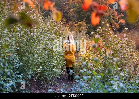 Blonde Frau in gelber Jacke, die durch eine Waldlichtung geht Mit Farn überwuchert Stockfoto